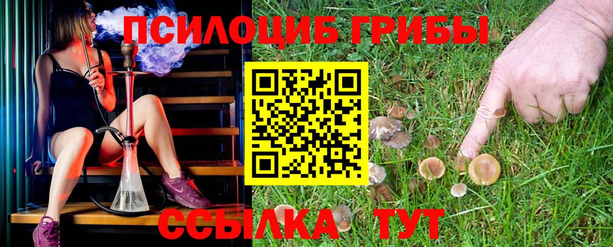 Псилоцибиновые грибы MAGIC MUSHROOMS Самара