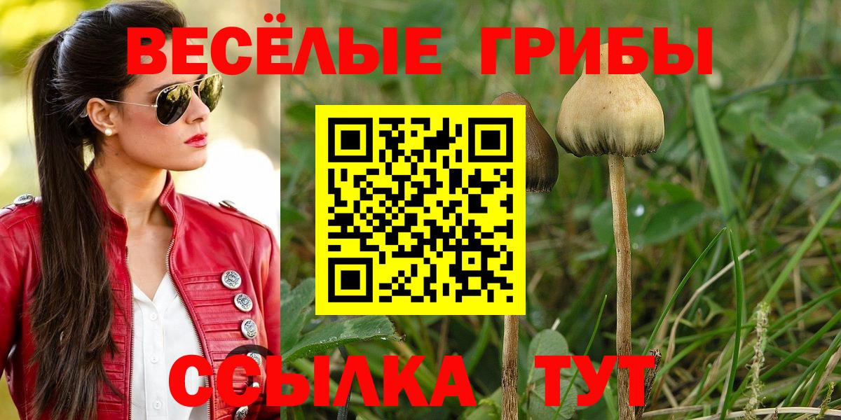 Галлюциногенные грибы прущие грибы  Галлюциногенные грибы Magic Shrooms  Вход с VPN  Самара 